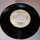 7" single PETER &  THE INDIANS : INDIAN ROCK ( SIS POSTIKULU - pikkukuva 2