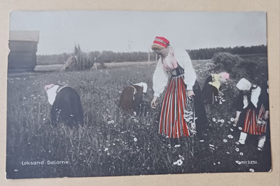 Leksand, leidit kansanpuvuissa poimimassa kukkia, p. 1909