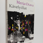 Merja Otava : Kävelyillat - pikkukuva 1