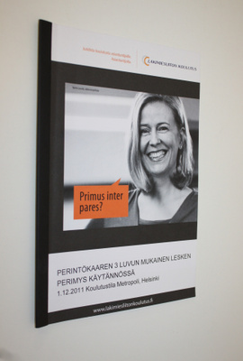 Perintökaaren 3 luvun mukainen lesken perimys käytännössä...