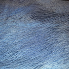 Marimekko kangas 4.90 M . Lepo. Fujiwo Ishimoto. 1991 - pikkukuva 5