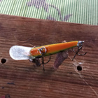Pikkuvaappu jaloille kaloille 3,5cm 0,9g - pikkukuva 4