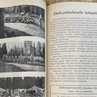 Sotilaspojat ja Lottatytöt Voimistelujuhla Seinäjoella 1944! - pikkukuva 2