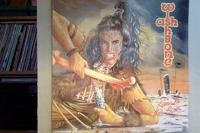 WISHBONE ASH :: RAW TO THE BONE :: VINYYLI LP FIN-1985 !!