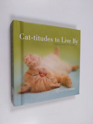 Cat-titudes to Live By - Inspirational Thoughts