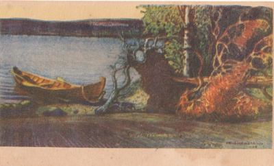 Kaatunut petäjä, Falinta pino, V. Hämäläinen b603