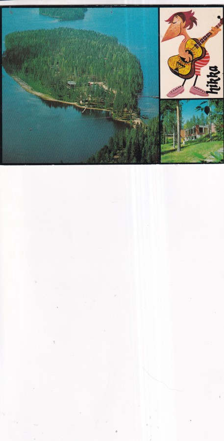 Viitasaari, Ruuponsaari,Rantasipi, hikka  b681