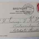 Luistelijat talvisella lammella, peura katselee, p. 1905 - pikkukuva 2