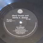 Diana Brown And Barrie K.Sharpe: The Masterplan  12" single - pikkukuva 3