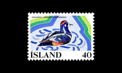 Islanti 524 ** Lintu (1977)