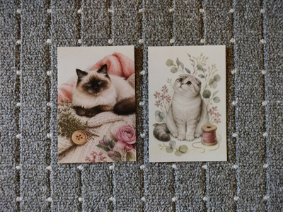 ~Kissa kortti~ 2kpl
