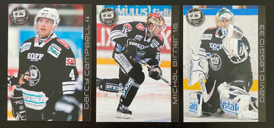 09-10 TPS Team Issue (3 erilaista)