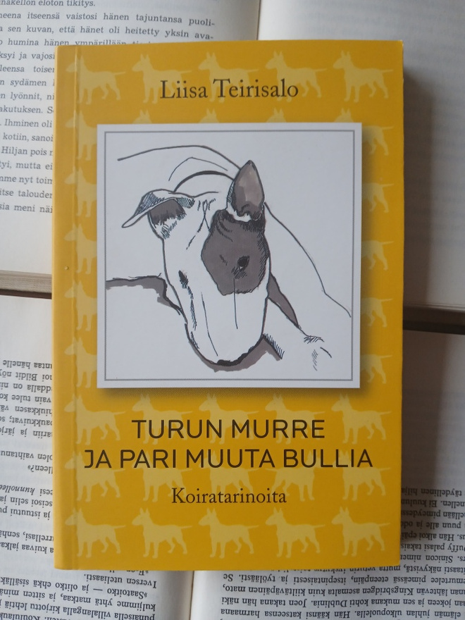 Liisa Teirisalo - Turun murre ja pari muuta bullia (nid.)