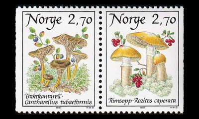 Norja 969-70 ** Sieniä (1987)