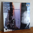 Beastie Boys – Paul's Boutique LP - pikkukuva 2