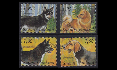 1075-8 o Kenneltoiminta (1989)