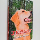 Marvi Jalo ym. : Jesse retkikoira - pikkukuva 1
