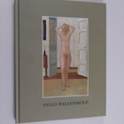 Viggo Wallensköld : vuoden nuori taiteilija 2005 = årets ... - pikkukuva 1