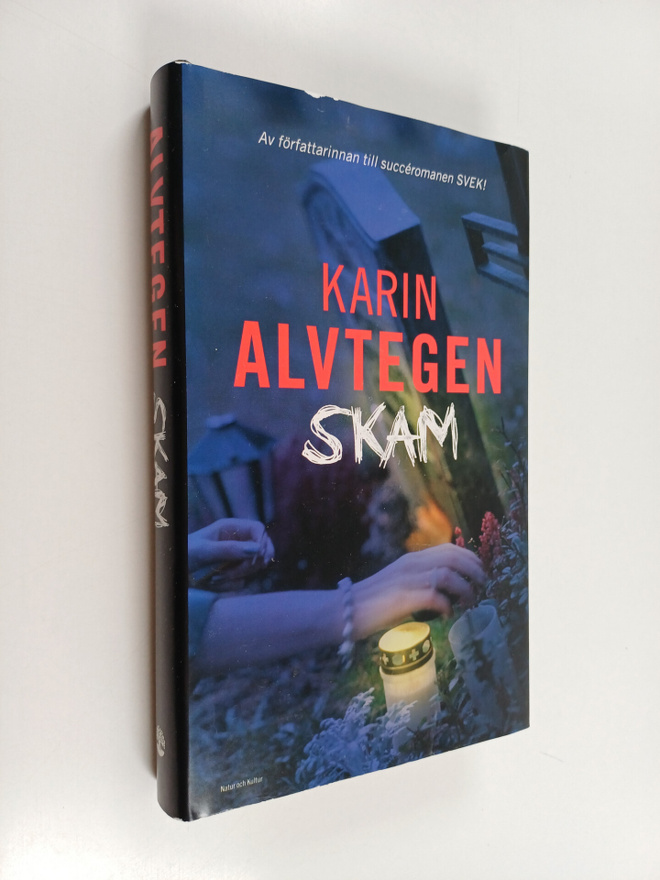 Karin Alvtegen : Skam