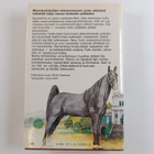 Danielle Steel : Palomino - pikkukuva 2