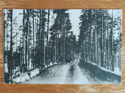 SAVONLINNA Punkaharju