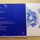 BRUCE HAACK: The Electric Lucifer LP (2016 Uusintapainos) - pikkukuva 2