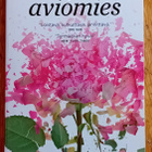 Liane Moriarty - Hyvä aviomies - pikkukuva 1