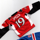 Jason Spezza Ottawa 07-08 Upper Deck Mini Jersey - pikkukuva 2