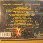 LEEVI AND THE LEAVINGS - Kerran Elämässä - pikkukuva 2