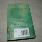 Maeve Binchy Whitethorn Woods  -pok - pikkukuva 2