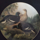 Von Wright seinälautaset - pikkukuva 1