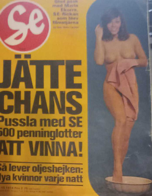 Se Nr 15 1974