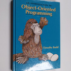 Timothy Budd : An introduction to object-oriented program... - pikkukuva 1