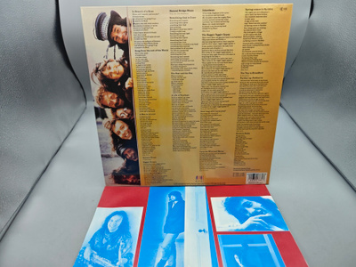 The Waterboys – Room To Roam LP