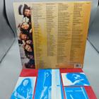 The Waterboys – Room To Roam LP - pikkukuva 1