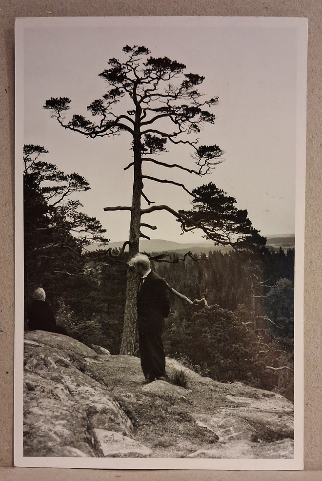 Leppäkoski: Kalliomaisema o (816)