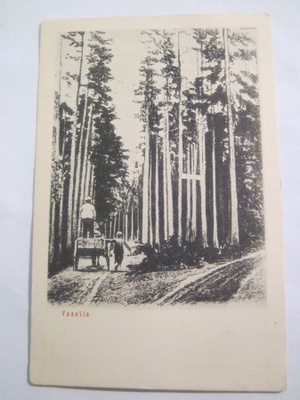 VANHA Postikortti Lohja Vaanila 1906