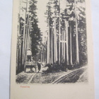 VANHA Postikortti Lohja Vaanila 1906 - pikkukuva 1