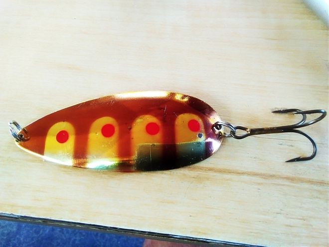 Kuusamo Finland  Hauki  20,9g   8cm
