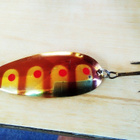 Kuusamo Finland  Hauki  20,9g   8cm - pikkukuva 1