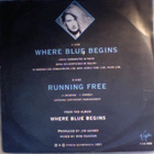 SANNE  ::  WHERE BLUE BEGINS  ::  VINYYLI  7"    1991 - pikkukuva 2
