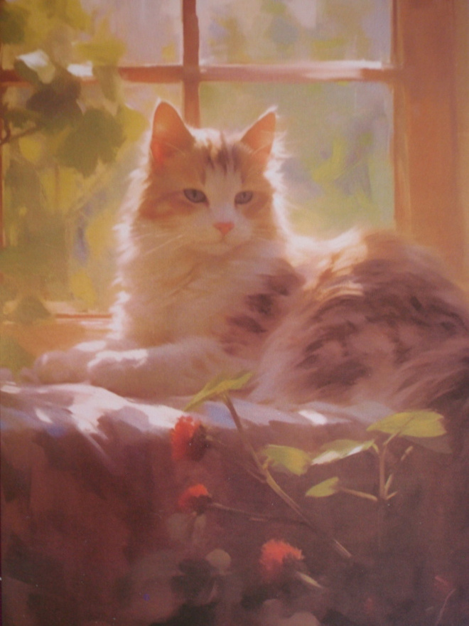 Kissa auringonvalossa ikkunalaudalla