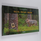 Lassi Rautiainen : Villi itä = Wild east = Wild Ost (sign... - pikkukuva 1