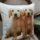 Labradorinnoutajan pennut tyynynpäällinen - pikkukuva 3