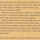Mari Aulanko: Työ ja elämäni - pikkukuva 3