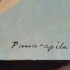 Göran Augustson "Puna-apila" 1945-1995 - pikkukuva 4