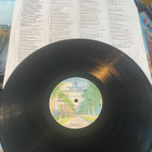 Little Feat: Time Loves a Hero 1977 LP - pikkukuva 3