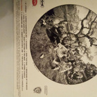 Grateful Dead: Aoxomoxoa - pikkukuva 2