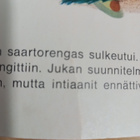Tammen kultaiset kirjat 19: Peter Pan ja intiaanit - pikkukuva 3