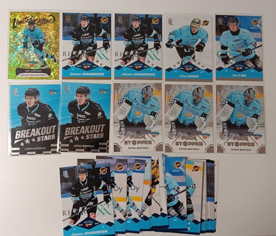 Blueline 2026/2027 Pelicans lotti